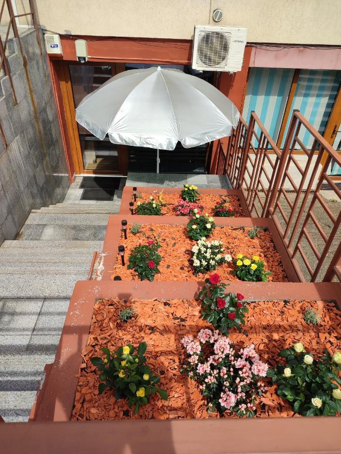 Garsoniera Alex Daire Kaloşvar Dış mekan fotoğraf